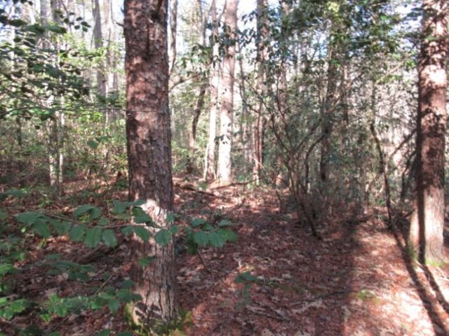 11 Matthews Creek Road, Cleveland, SC 29635