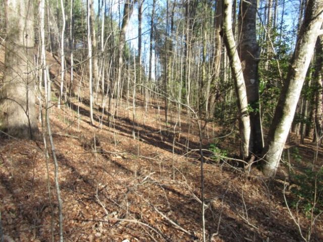 11 Matthews Creek Road, Cleveland, SC 29635