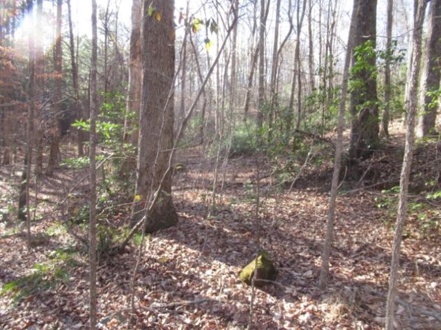 11 Matthews Creek Road, Cleveland, SC 29635