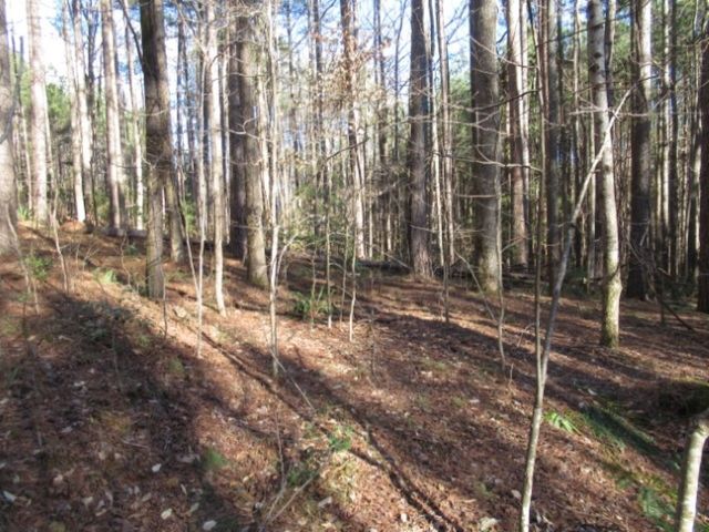 11 Matthews Creek Road, Cleveland, SC 29635