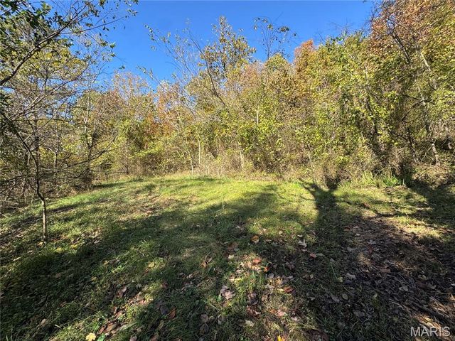 1009 Ripley 21N-6, Doniphan, MO 63935