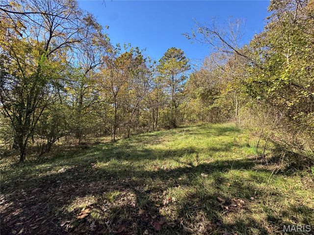 1009 Ripley 21N-6, Doniphan, MO 63935