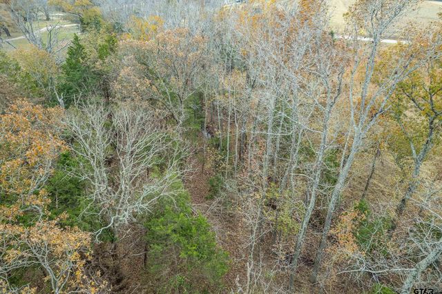 21540 Riva Ridge Dr, Tyler, TX 75704
