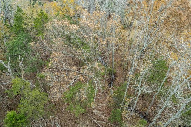 21540 Riva Ridge Dr, Tyler, TX 75704
