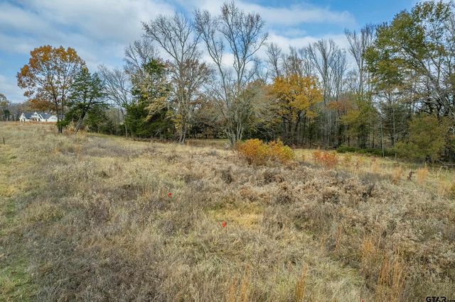 21540 Riva Ridge Dr, Tyler, TX 75704