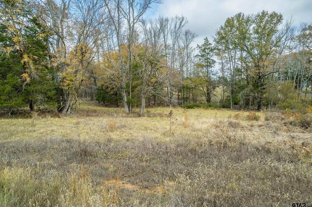 21540 Riva Ridge Dr, Tyler, TX 75704