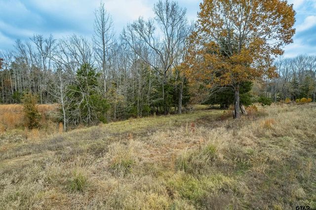 21540 Riva Ridge Dr, Tyler, TX 75704
