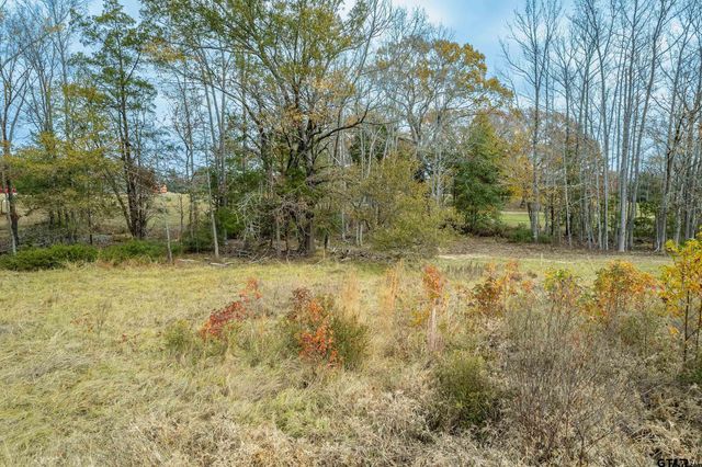 21540 Riva Ridge Dr, Tyler, TX 75704