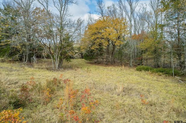 21540 Riva Ridge Dr, Tyler, TX 75704