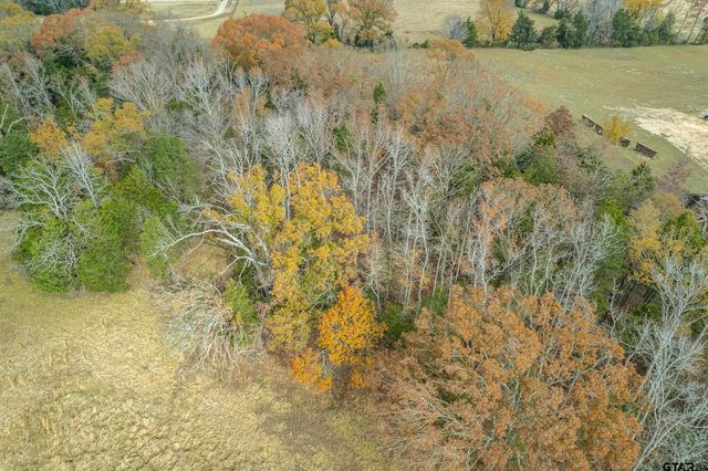 21540 Riva Ridge Dr, Tyler, TX 75704