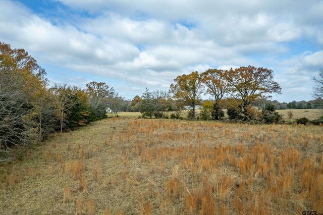 21540 Riva Ridge Dr, Tyler, TX 75704