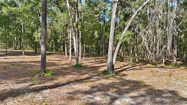 5230 S ROBERT BLAKE AVENUE, Inverness, FL 34452