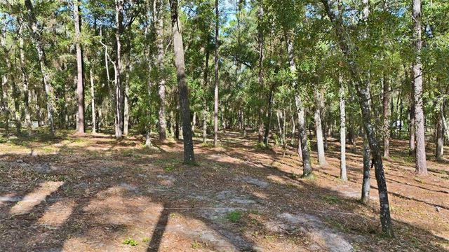 5230 S ROBERT BLAKE AVENUE, Inverness, FL 34452