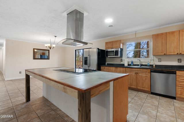 335 Buena Vista Drive, Sevierville, TN 37876