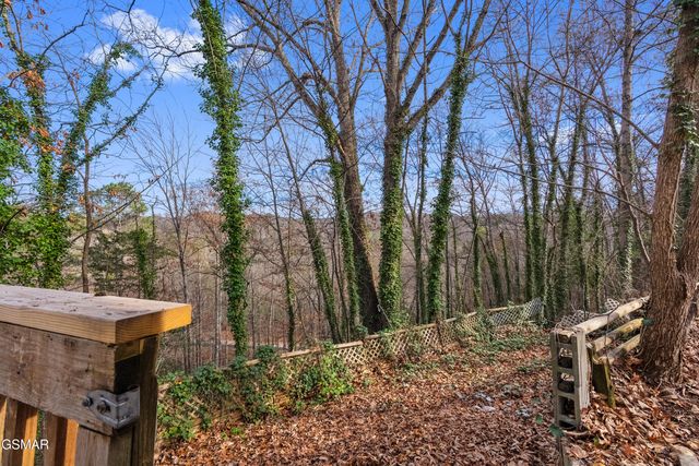 335 Buena Vista Drive, Sevierville, TN 37876