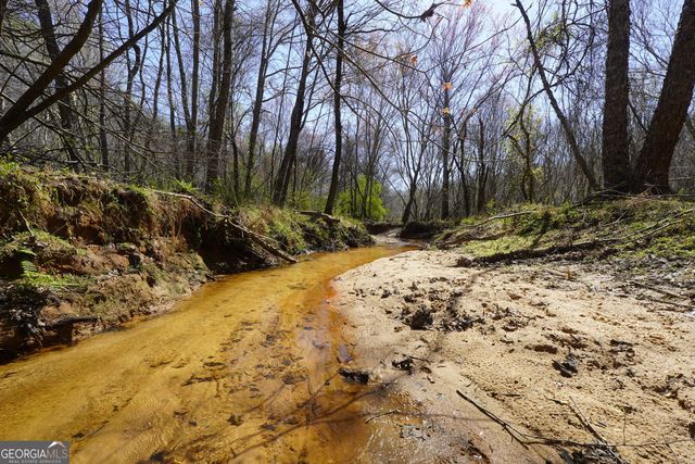 795 Silver Dollar Road, Milner, GA 30257