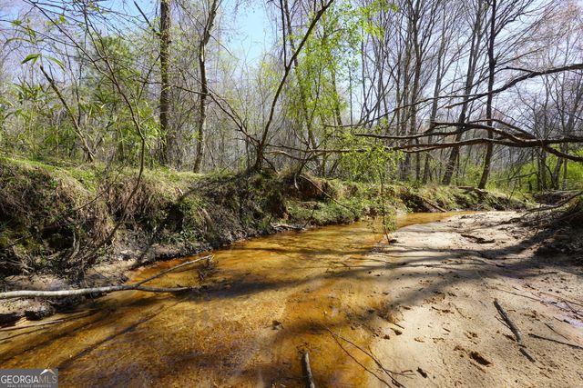 795 Silver Dollar Road, Milner, GA 30257