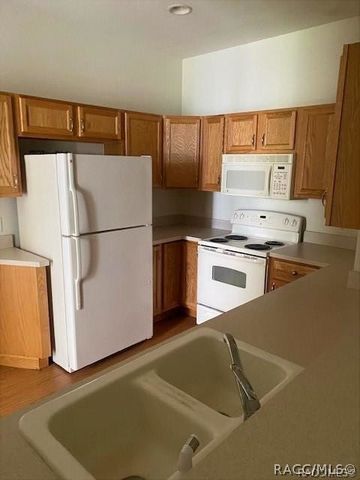 1626 W Spring Meadow Loop, Lecanto, FL 34461