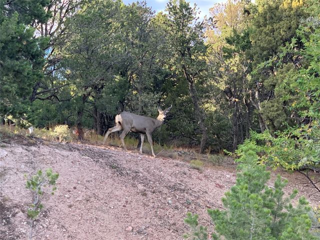 1085 Camino Manana, Santa Fe, NM 87501