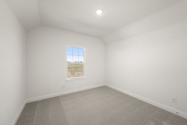 109 Golden Jackal Court, Godley, TX 76044