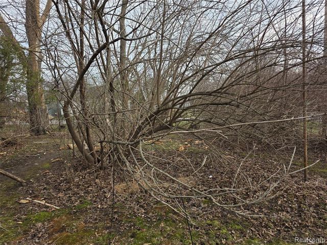 7285 Farnum Street, Romulus, MI 48174