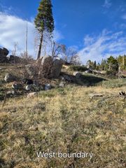 52866 Alpine Drive, Springville, CA 93265