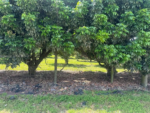 206XX SW 344 ST, Homestead, FL 33034