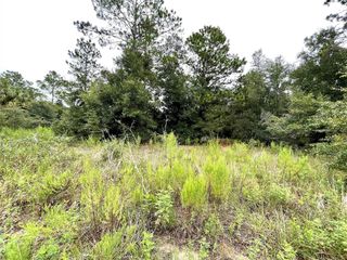 BEGONIA COURT, Dunnellon, FL 34431