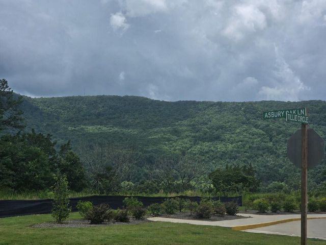 118 Asbury Oak Lane 118, Chattanooga, TN 37419