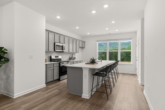118 Asbury Oak Lane 118, Chattanooga, TN 37419