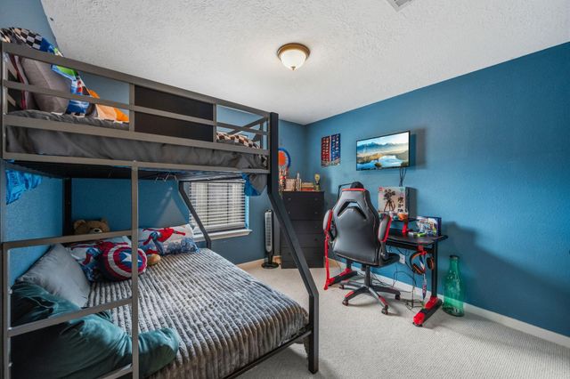 12295 Pegasus Drive, Willis, TX 77318