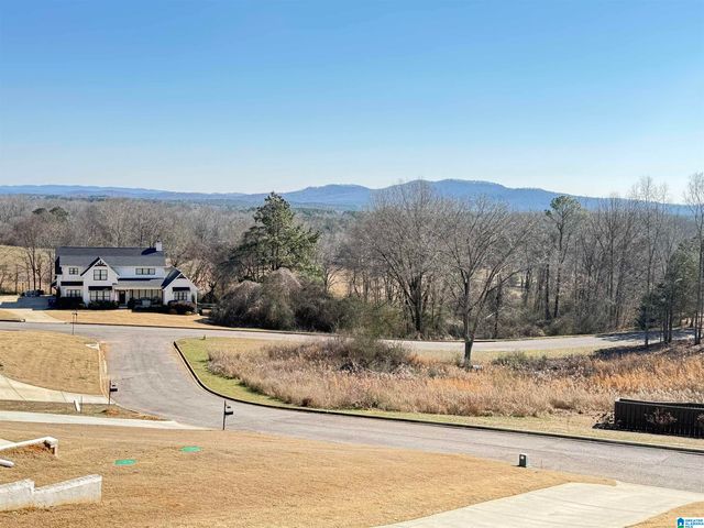 220 COTTAGE COURT, Springville, AL 35146