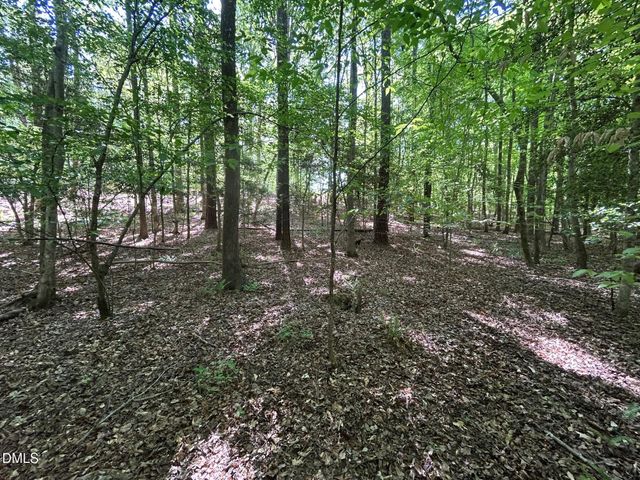 134 Red Dog Drive, Louisburg, NC 27549