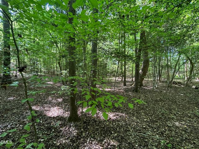 134 Red Dog Drive, Louisburg, NC 27549