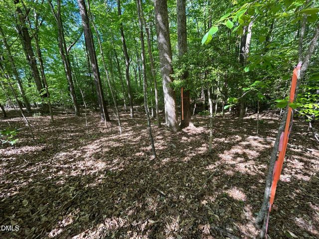134 Red Dog Drive, Louisburg, NC 27549