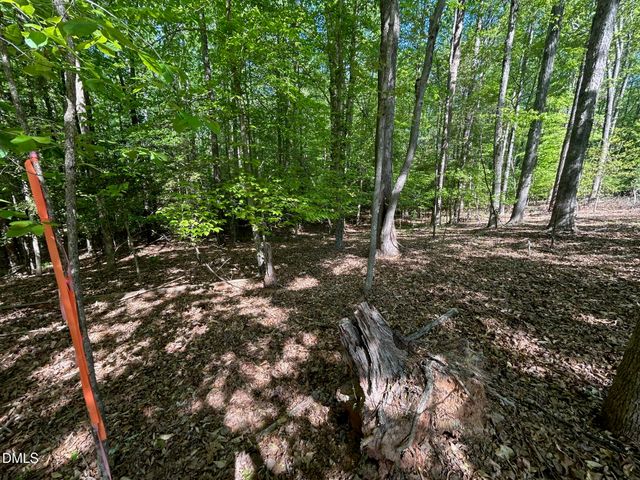 134 Red Dog Drive, Louisburg, NC 27549