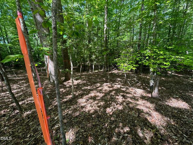 134 Red Dog Drive, Louisburg, NC 27549
