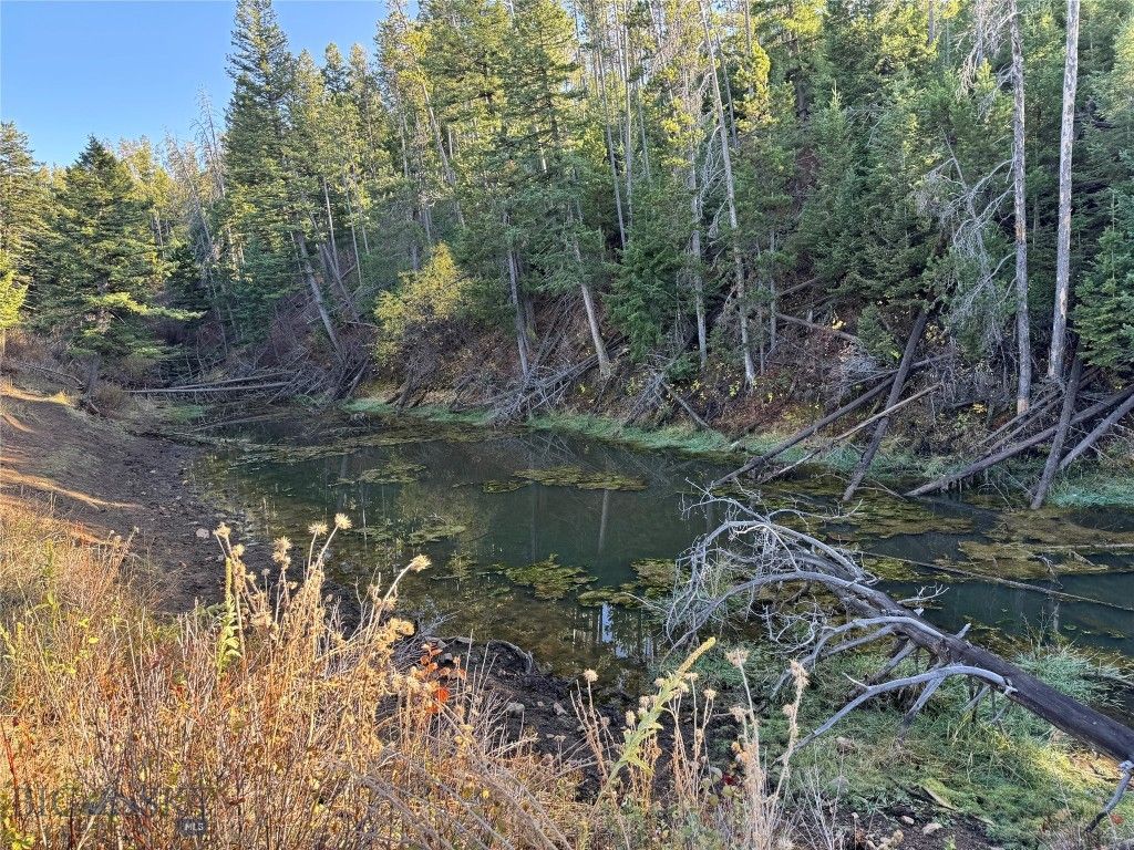 495 Moffit Gulch Road, Bozeman, MT 59715 photo 22