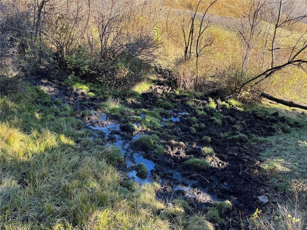 495 Moffit Gulch Road, Bozeman, MT 59715 photo 23