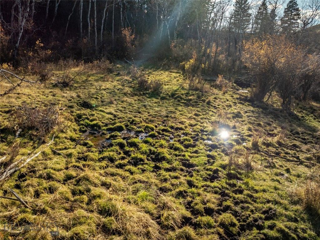 495 Moffit Gulch Road, Bozeman, MT 59715 photo 26