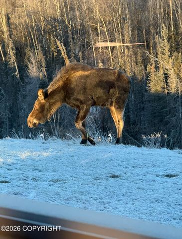 5209 W Jaxton Circle, Wasilla, AK 99654