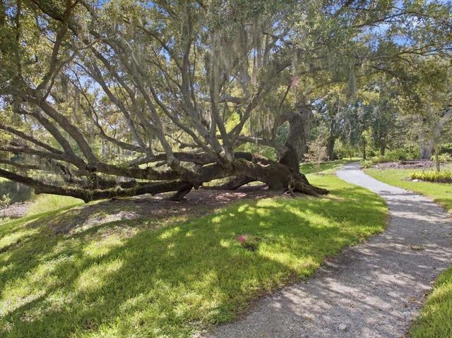 1553 RIVER DEE LANE, Dunedin, FL 34698