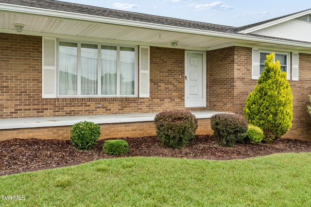 112 Hillrise Road, Gray, TN 37615