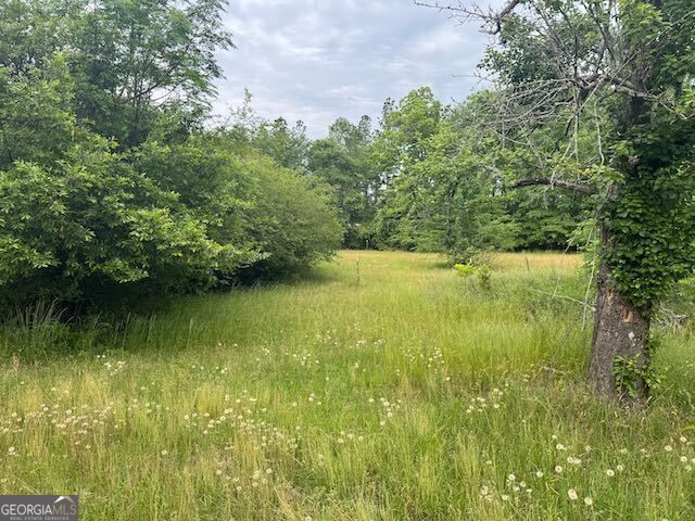 10661 Ga Highway 15, Warthen, GA 31094