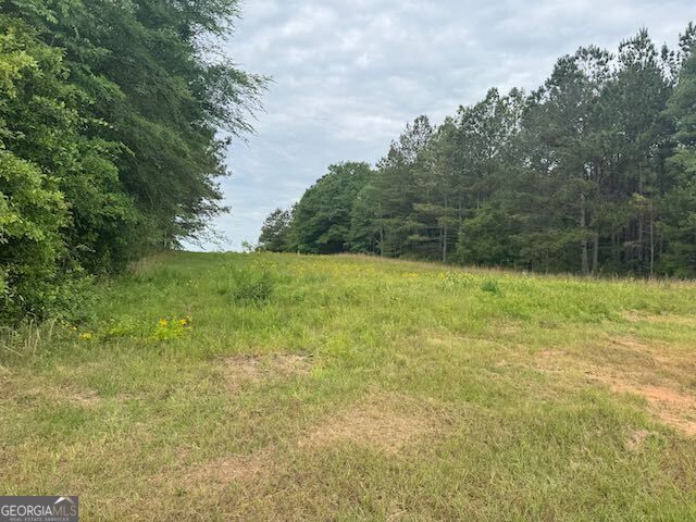 10661 Ga Highway 15, Warthen, GA 31094