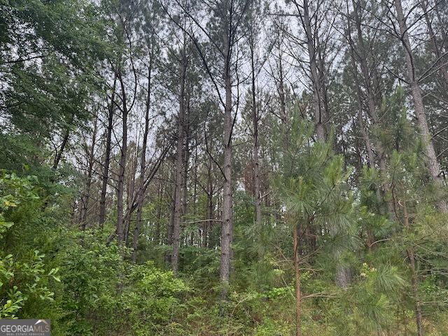 10661 Ga Highway 15, Warthen, GA 31094
