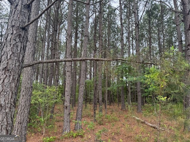 10661 Ga Highway 15, Warthen, GA 31094