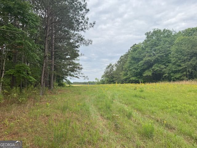 10661 Ga Highway 15, Warthen, GA 31094