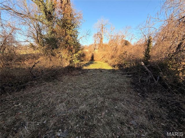 2163 Wageley Place, St Louis, MO 63133