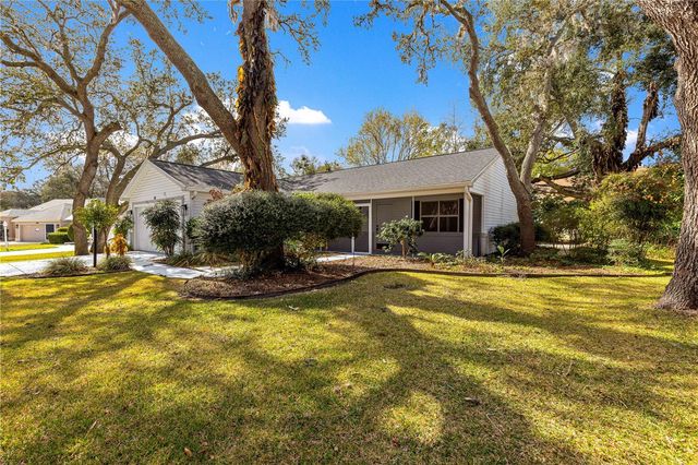 210 PALERMO PLACE, The Villages, FL 32159